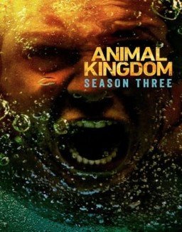 Animal Kingdom temporada 3