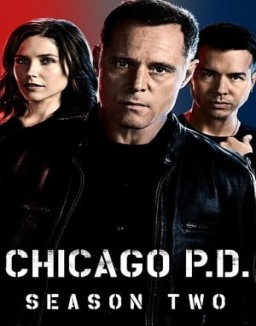 Chicago P.D. temporada 2