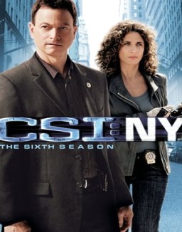 CSI: Nueva York temporada 6