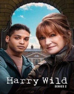Harry Wild temporada 2