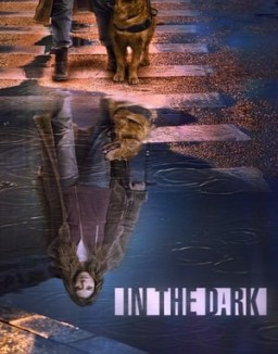 In the Dark temporada 2