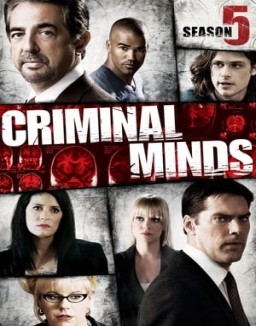 Mentes criminales temporada 5