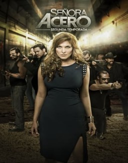 Señora Acero temporada 1